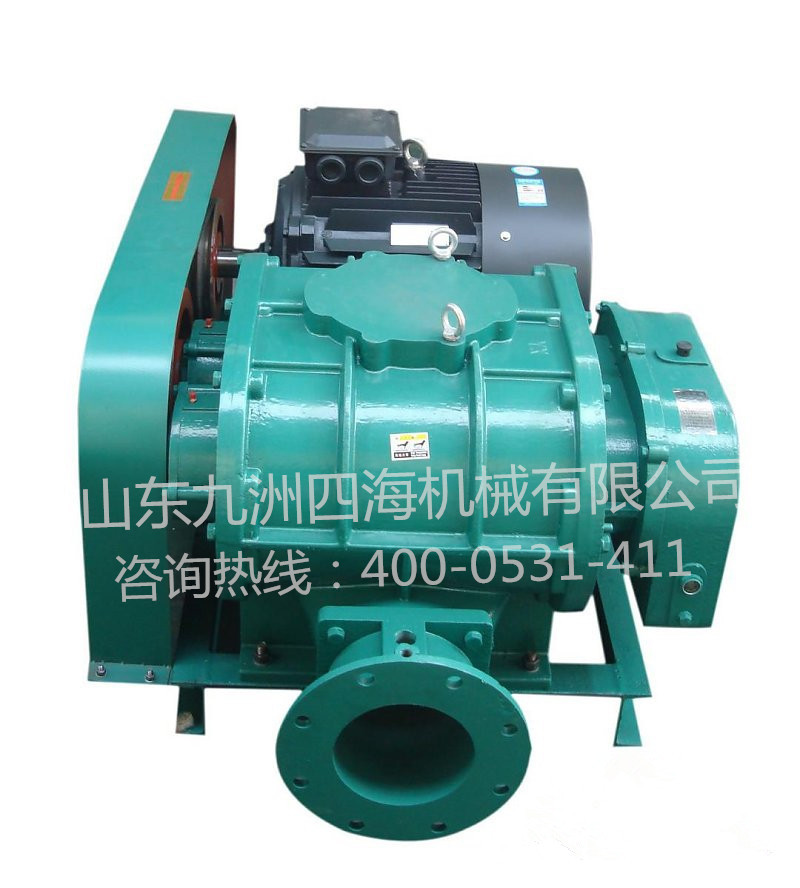 三葉羅茨風(fēng)機(jī)廠家:選型我們注意什么